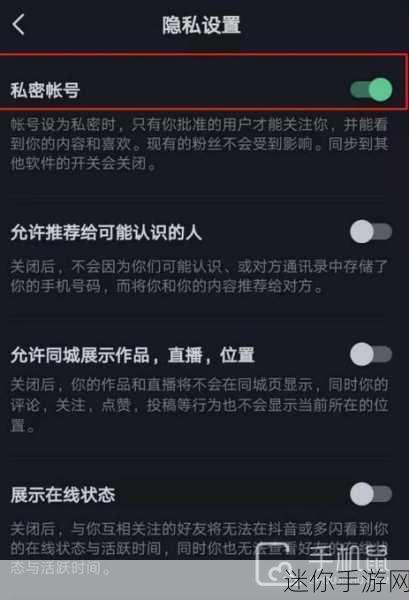 抖音私密账号作品大揭秘，手游玩家如何巧妙观看？