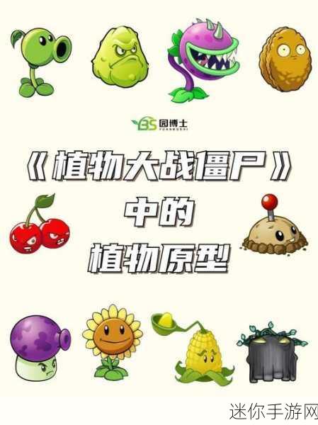 探寻植物大战僵尸 userdata 中的神秘文件