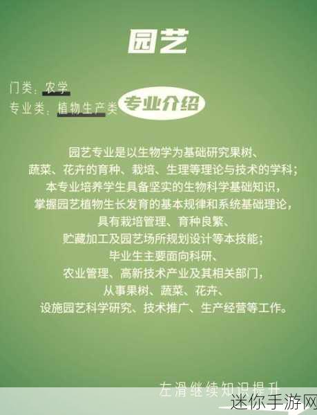 探秘物华弥新果树双管瓶器者的独特魅力