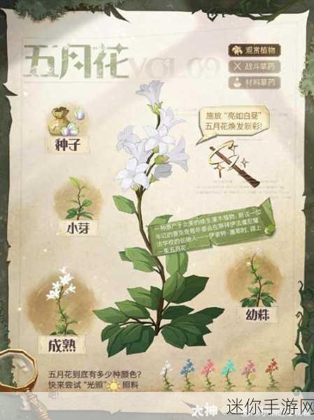 探索哈利波特魔法觉醒中的植物种植秘籍