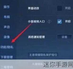 王者荣耀隐身访问设置指南，你掌握了吗？