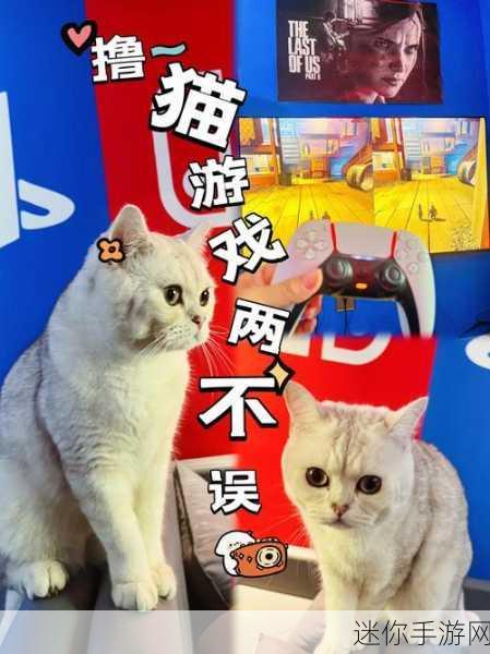 猫狗之争，趣味搞笑休闲游戏，让你爱不释手