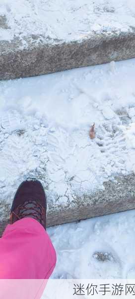 冬日奇趣新体验，清洁雪地3D，休闲益智新选择