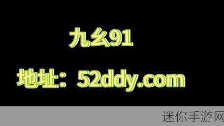 九幺9.1旧版安装无高危险：九幺9.1旧版安装安全指南：全面解析与风险评估