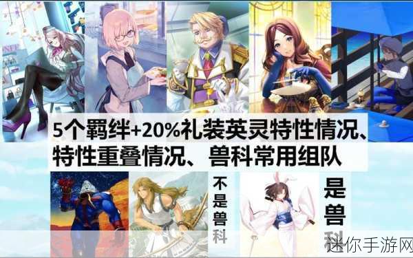 FGO 中 C 呆专属礼装与羁绊礼装的深度解析