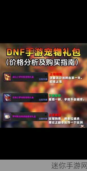 DNF 手游，探秘宠物获取与宠物装备养成之路