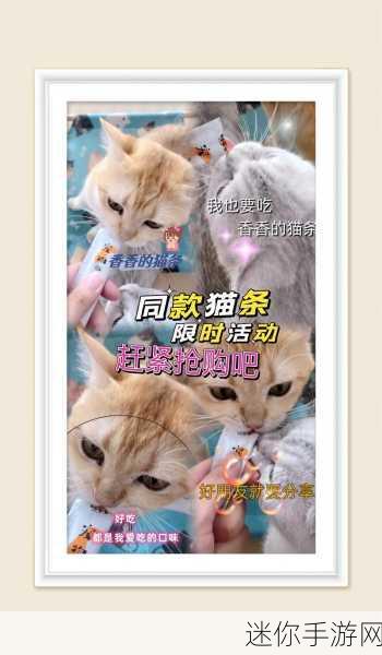 我要养猫萌宠来袭，宠物模拟养成新体验等你来探索！