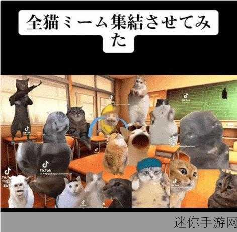 猫总大厦破解版风靡全网，模拟经营新体验等你来探索