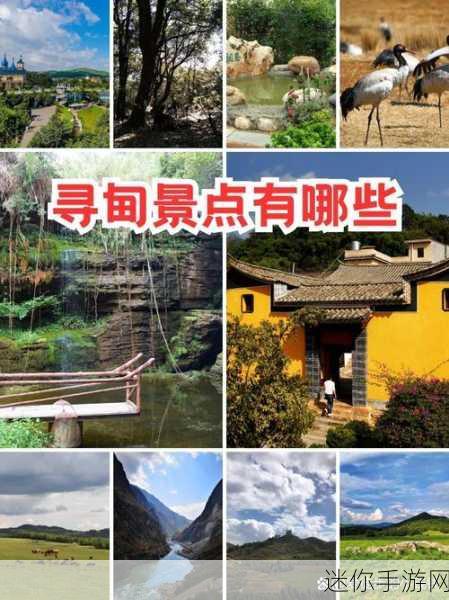 探索唯美秘境，解锁迷失山谷的史诗之旅