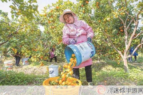 清新萌趣新体验，俯冲水果之路等你来战！