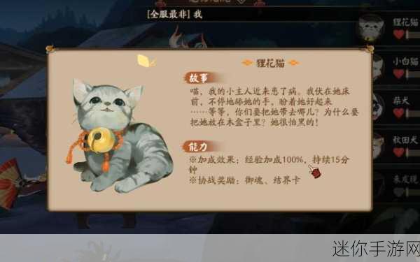 探秘阴阳师狸花猫，奖励与成长的秘诀