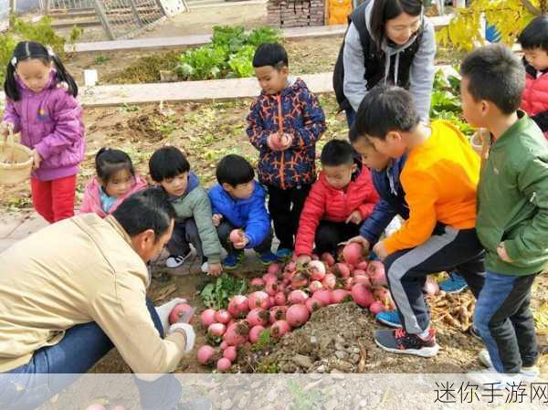 爷爷的小农院，重拾田园梦，种植乐趣无穷