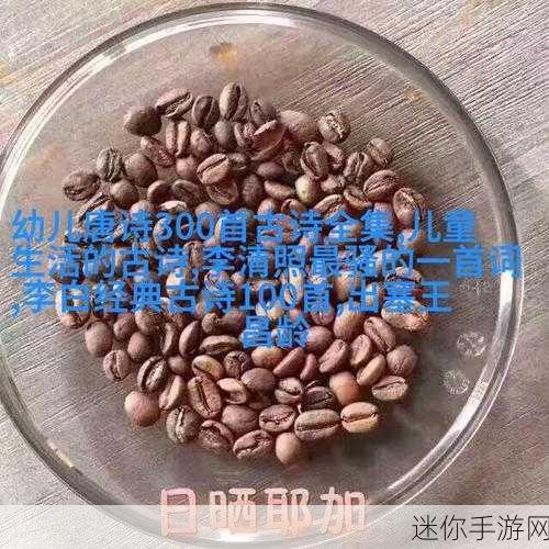 md豆传媒一二三区：拓展MD豆传媒一二三区，探索新视角与多元内容的创意之旅