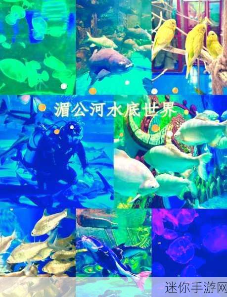 探索神秘海底，开启Underwater World冒险之旅