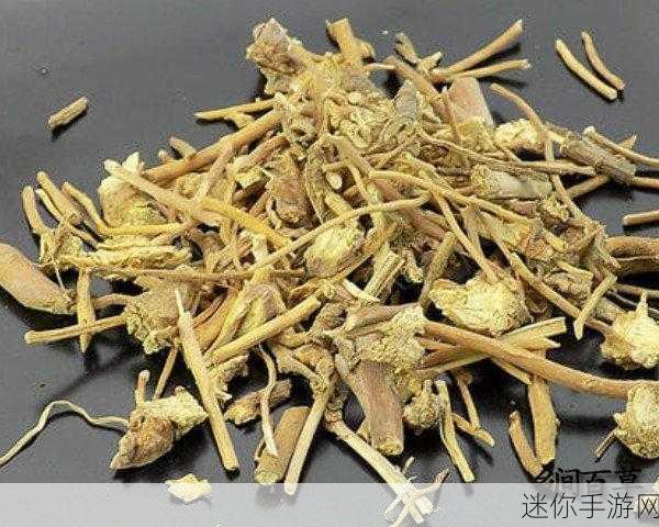 校园绑定jy收集系统白薇，校园绑定jy收集系统白薇的全新优化与展望