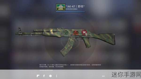 csgo暴躁小阿姨最佳搭配 CSGO暴躁小阿姨最佳搭配：武器与战术的完美结合