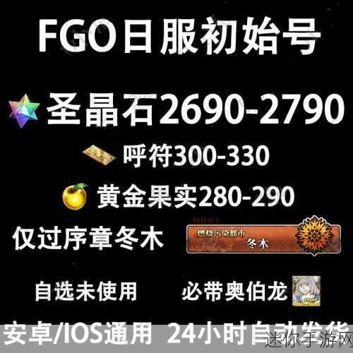 FGO 新手玩转石头号指南