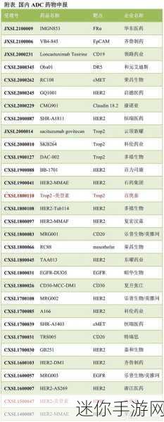 24adc年龄确认18周岁进入-确认24ADC年龄为18周岁，顺利进入新阶段