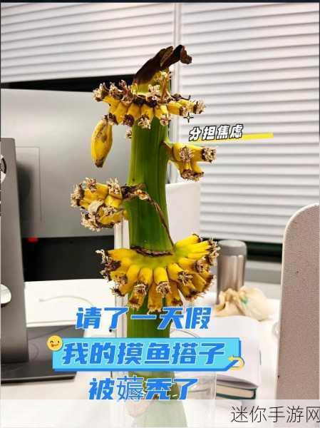 苏州香蕉视频-探索苏州的魅力与香蕉视频的奇妙结合之旅