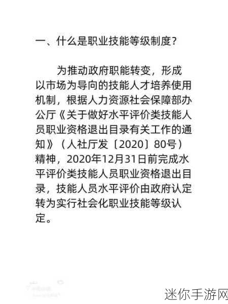 探究游戏代练师技能认定的关键要素