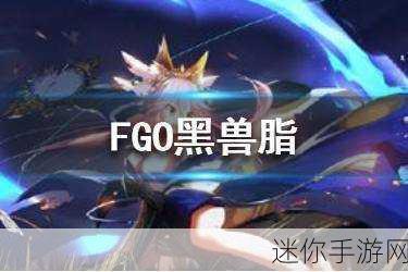 FGO黑兽脂获取攻略，揭秘高效掉落地点