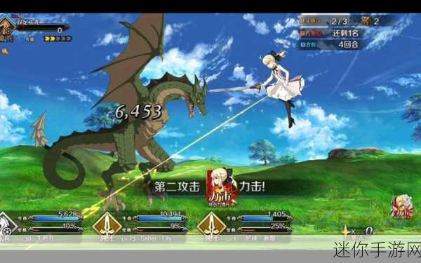 FGO 命运冠位指定中德雷克的魅力与实力剖析