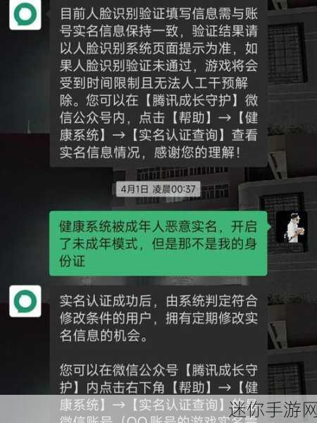 王者荣耀申诉成功的秘籍，关键理由与卓越策略