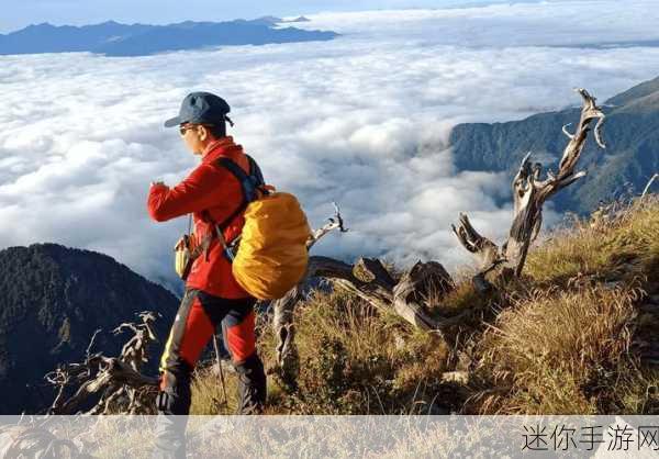 挑战极限，征服山巅，爬得更高带你领略趣味登山之旅