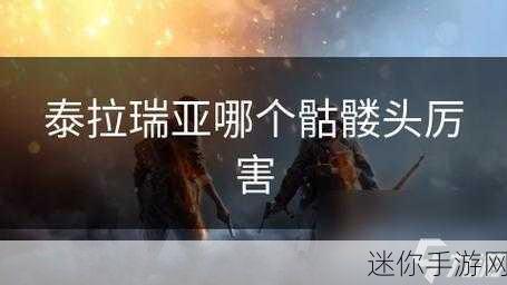 探秘泰拉瑞亚，骷髅头宠物的神秘获取之道