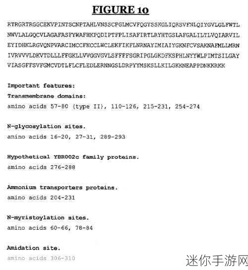 cekc高清BNДeo少：全新高清视觉体验：探索CEKC独特的BNDeo风采