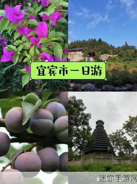 四川省bbb爽爽爽：探索四川省的美食文化与自然风光之旅