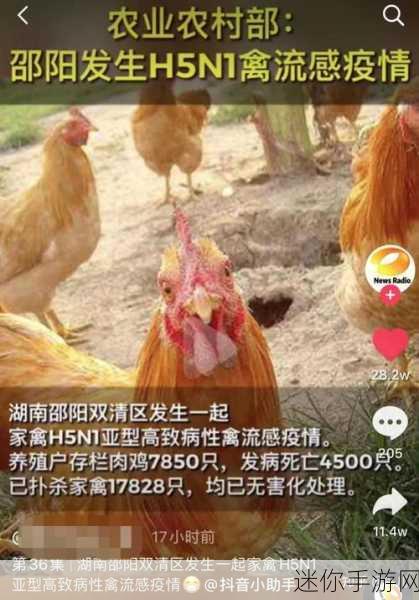 免费人与禽app：探索人与禽类的友好互动与交流新平台