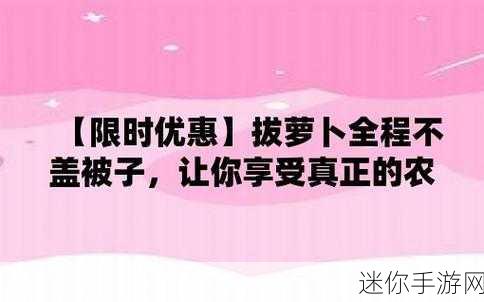 拔萝卜打扑克不盖被子：拔萝卜、打扑克：不盖被子也能乐趣无穷的休闲生活