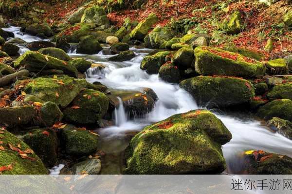 两峰夹小溪地湿：两峰相间小溪流，湿地春光映秀色