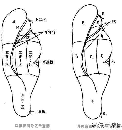 日韩一分区和二分区的区别：深入解析日韩一分区与二分区的主要区别及影响