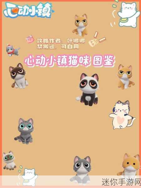 心动小镇手游养猫秘籍，让可爱猫咪常伴你左右