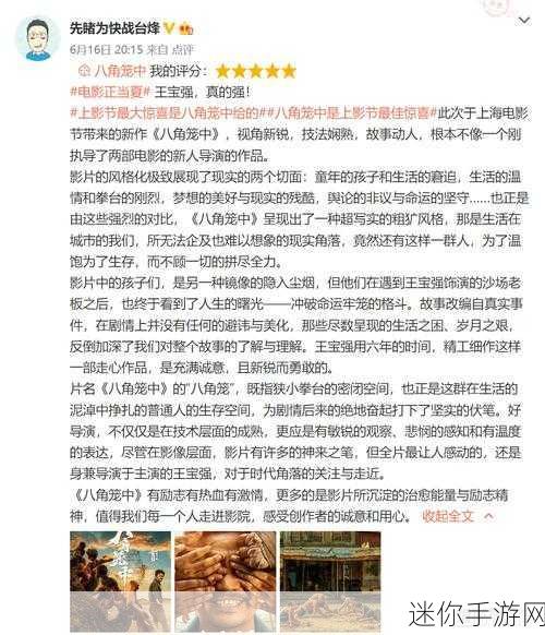 八角笼中开拍前投资全撤公司：八角笼中开拍前的投资全撤，背后的原因与影响分析