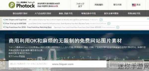 不良网站大全进入窗口免费：全面解析不良网站大全，免费获取入口与使用指南