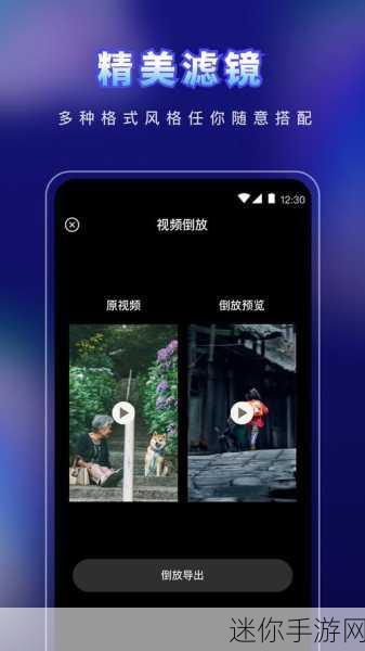 草莓视频app 网址ios：全面解析拓展草莓视频app的iOS访问网址及使用技巧