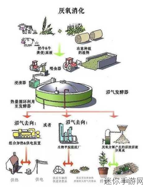 人马畜禽共性关系的重要性：探讨人畜禽共生关系对生态与农业的影响