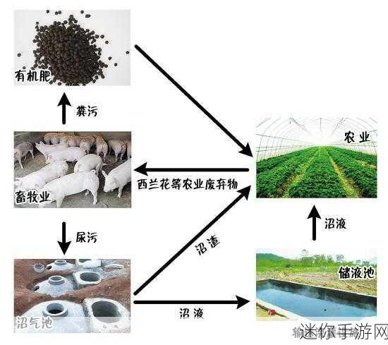 人马畜禽共性关系的重要性：探讨人畜禽共生关系对生态与农业的影响