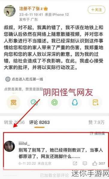 吃瓜网黑：吃瓜观众的网黑时代：网络暴力与舆论风云