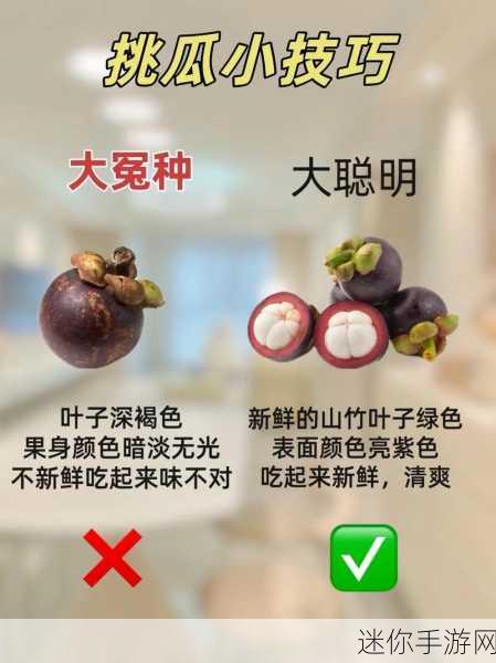 黑料网-解决找瓜难题,免费吃瓜看料!!!最新入口：https：／／hl08.co 开启你的新世：拓展黑料网：轻松解决找瓜难题，免费享受吃瓜看料的乐趣！