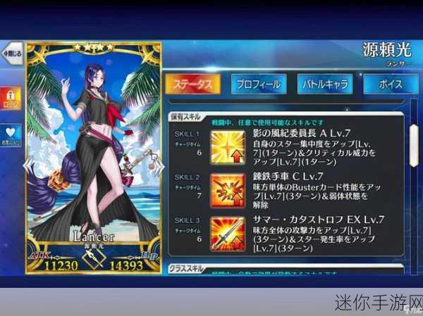 FGO 特殊职阶英灵风采，深度图鉴与评测