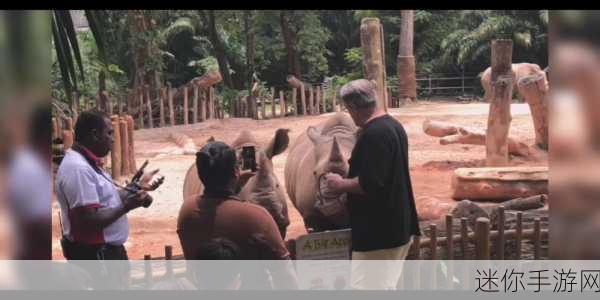 欧美人狗Zoo：探索欧美各国人犬文化的多样性与奇趣之旅