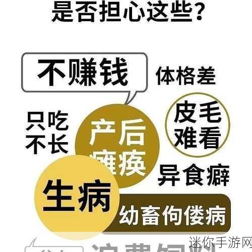 矿砖2022免费：2022年拓展矿砖活动，免费赠送新用户专属礼品！