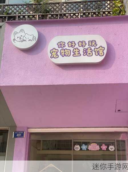 小猫蛋糕店，萌化你心的模拟经营之旅