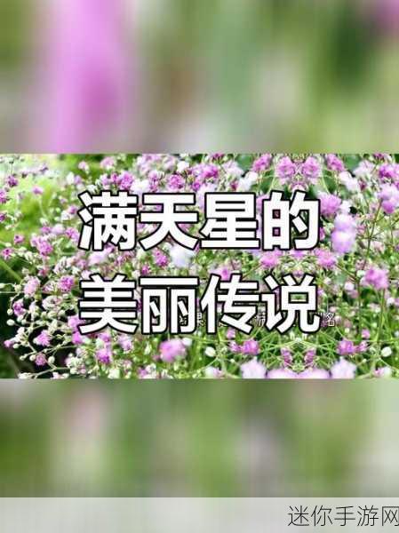 法国三部曲满天星酒店服务生：法国三部曲：满天星酒店的浪漫服务生传奇