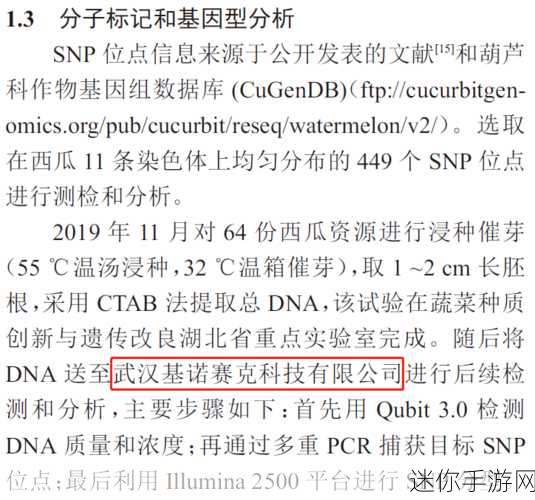 成人满18网站：探索成人内容的多样性与安全性：满18岁后的新选择