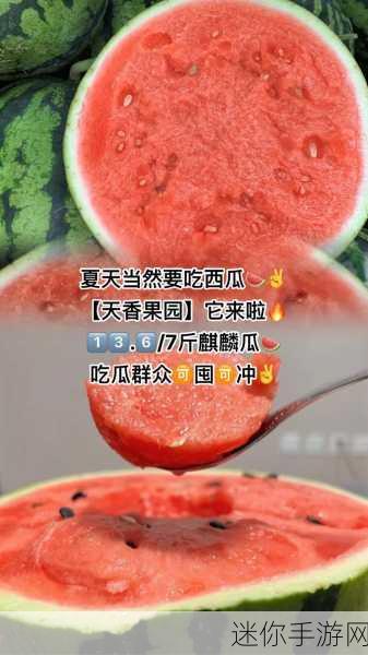 51每日吃瓜必吃大瓜2024年2月4日：2024年2月4日：每日吃瓜必备精彩大瓜汇总！